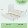 Costway Wooden Bed Frame Twin Size with Trundle 200 Lbs Capacity for Teens and Adults New