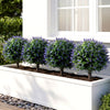 Four artificial lavender boxwood topiary ball trees in a planter, featuring purple flowers and realistic trunks for.