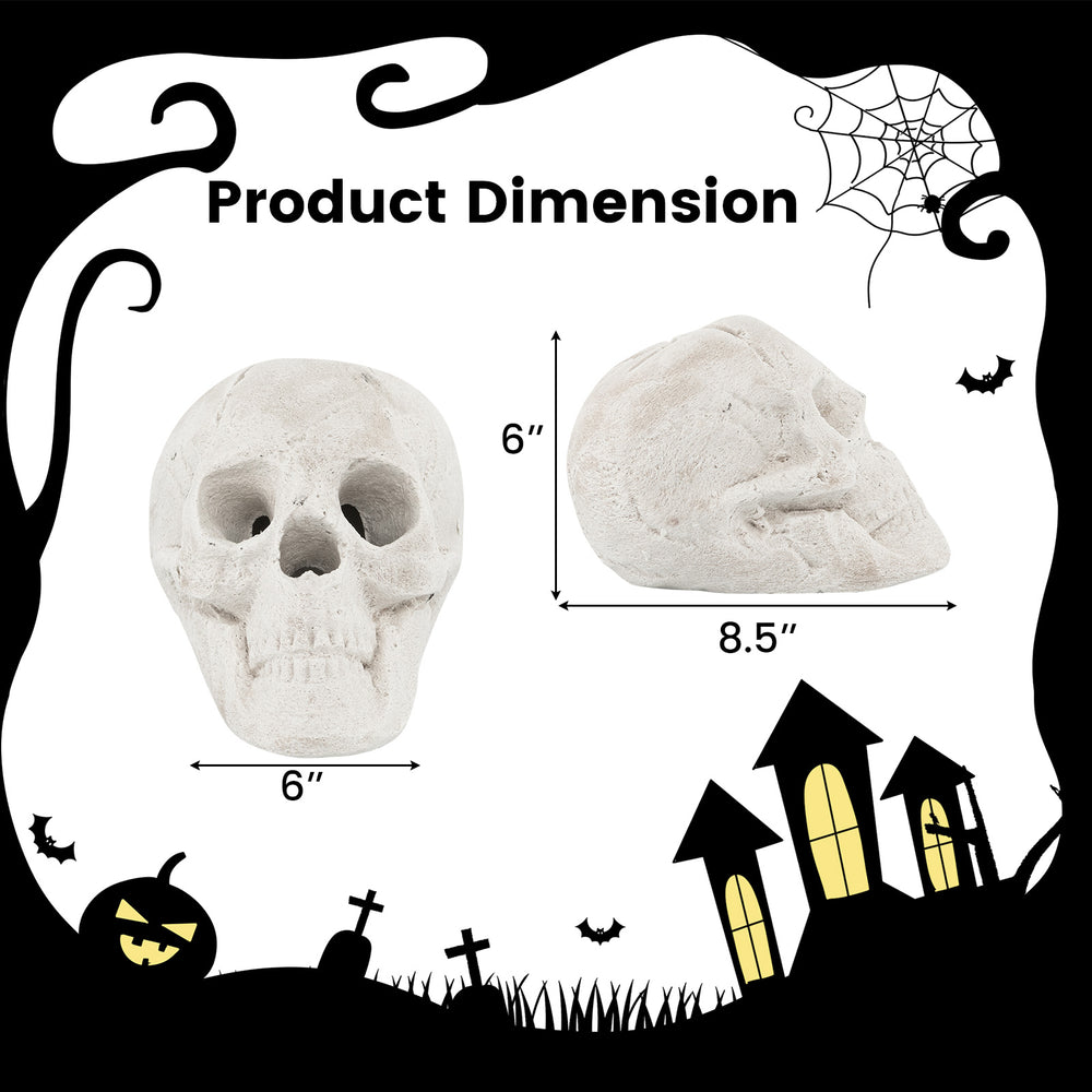 Realistic beige skull decoration for Halloween, measuring 6" x 8.5", perfect for fire pits and spooky ambiance.