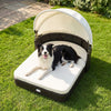 Handwoven rattan pet daybed featuring a cozy design with a plush cushion and adjustable canopy for small and medium dogs.