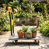 Heavy duty foldable push cart dolly in yellow with potted plants, featuring a 560 lbs weight capacity for versatile use.