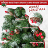 Hinged Christmas tree with 450 PVC branch tips, 200 warm white LED lights, and natural pine cones for festive decor.