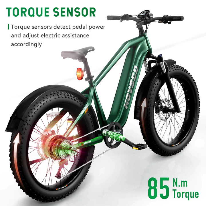 Hovsco HovAlpha Fat Tire Electric Bicycle 7 Speed 26" 750W Motor 28 MPH 80 Mile Range 48V 20Ah Lithium Battery New