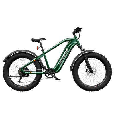 Hovsco HovAlpha Fat Tire Electric Bicycle Speed 26
