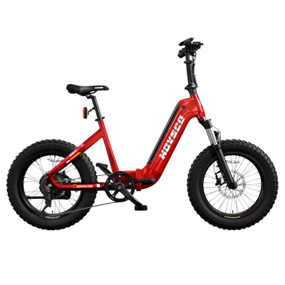 Hovsco HovBeta Foldable Fat Tire Electric Bicycle 7 Speed 20