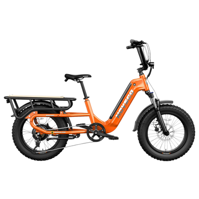 Hovsco HovCart Fat Tire Step Thru Cargo Electric Bicycle 7 Speed 20