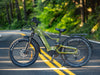 Himiway D5 2.0 Electric Bike 70 Mile Range 28 MPH Step Over 48V 750W New