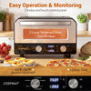 Indoor electric pizza oven with dual knobs, touch control panel, and tempered glass window for 12-inch pizzas.