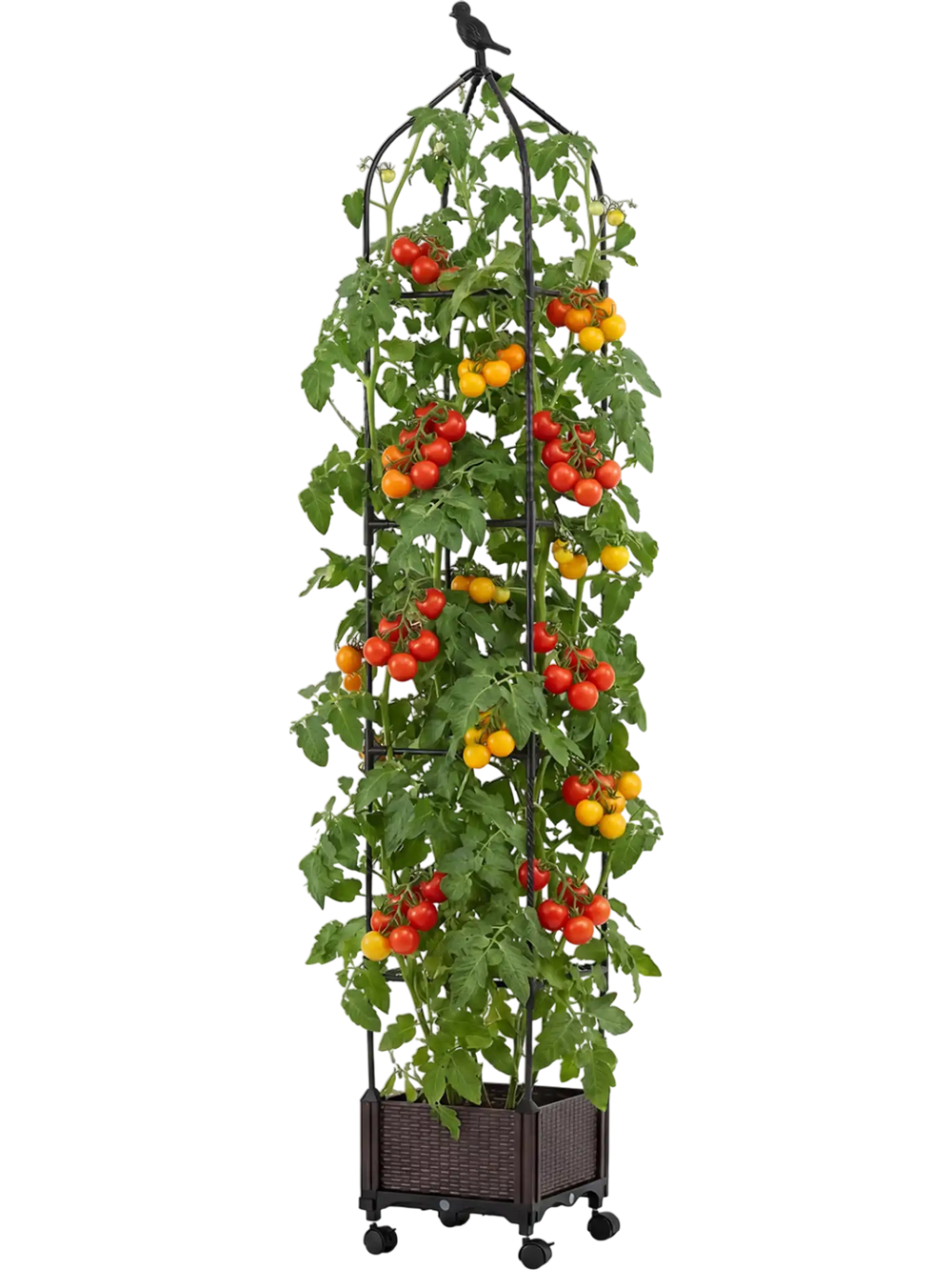 Indoor outdoor raised garden bed with trellis, featuring tomatoes, adjustable height, and wheels for easy mobility.