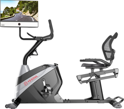 Yesoul J1M Plus Exercise Bike with 21.5