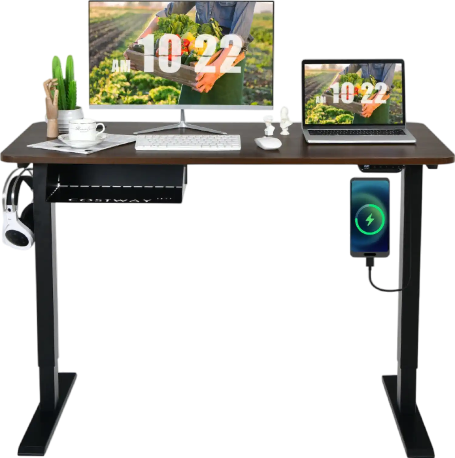 Costway Electric Standing Desk 48
