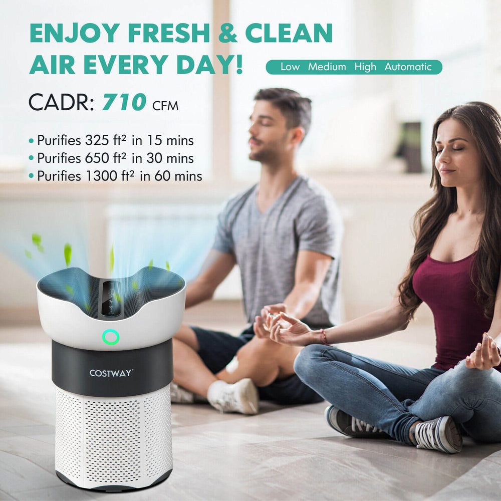 Air purifier with sleep mode, 3-stage filtration, for spaces up to 1300 sq. ft., ideal for home or office use.