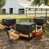 Large capacity black chicken feeding box with openable lid, designed for easy refills and elevated for protection.