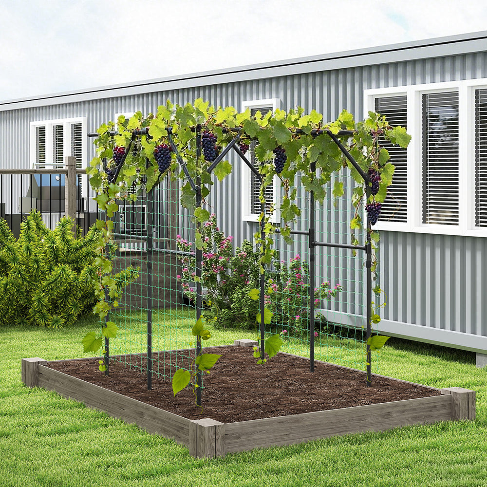 Large garden arch trellis for climbing plants, made of PE-coated metal, ideal for outdoor grape vine support.