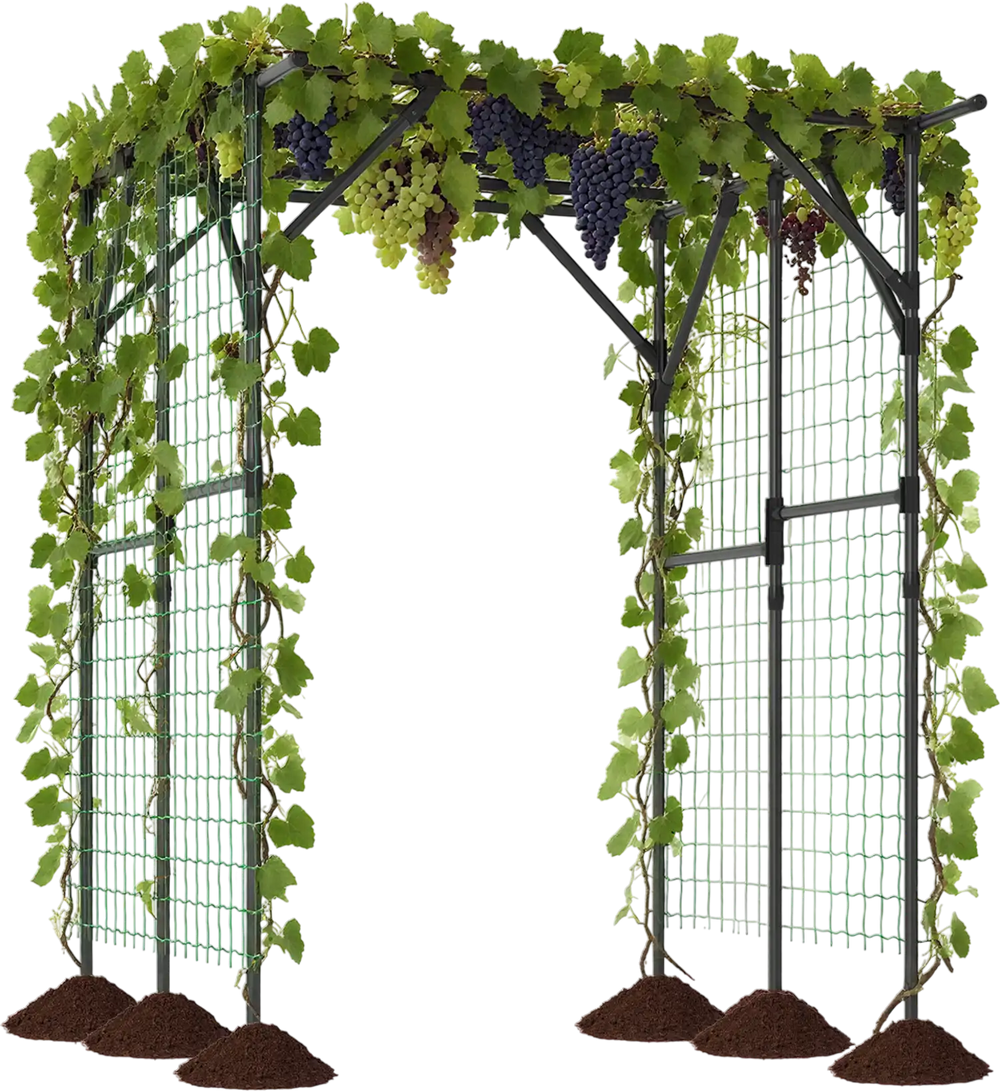 Large garden arch trellis in black for climbing plants, featuring a sturdy metal frame and ample space for healthy.