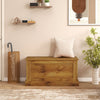 Large Storage Chest with Safety Metal Hinge-Oak - Gallery View 1 of 10