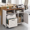 Lateral File Cabinet with 2 Drawers and Single-Door Cabinet for Letter/A4-White - Gallery View 1 of 12