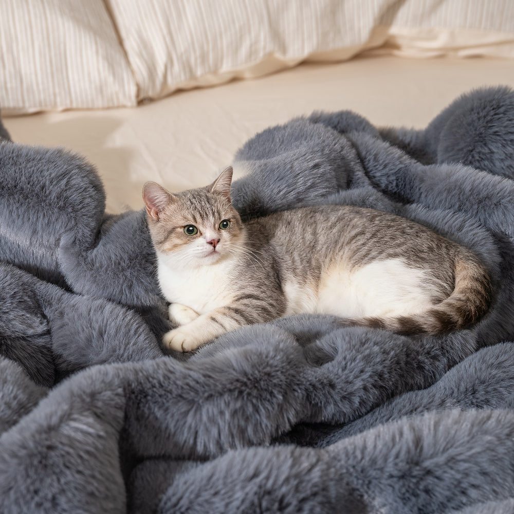 Luxury fuzzy plush rabbit fur bubble blanket in gray with a cat resting on it, perfect for armchairs and sofas.