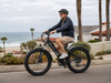 isinwheel M60 All-terrain Electric Bike