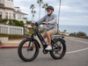 isinwheel M60 All-terrain Electric Bike