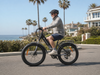 isinwheel M60 All-terrain Electric Bike