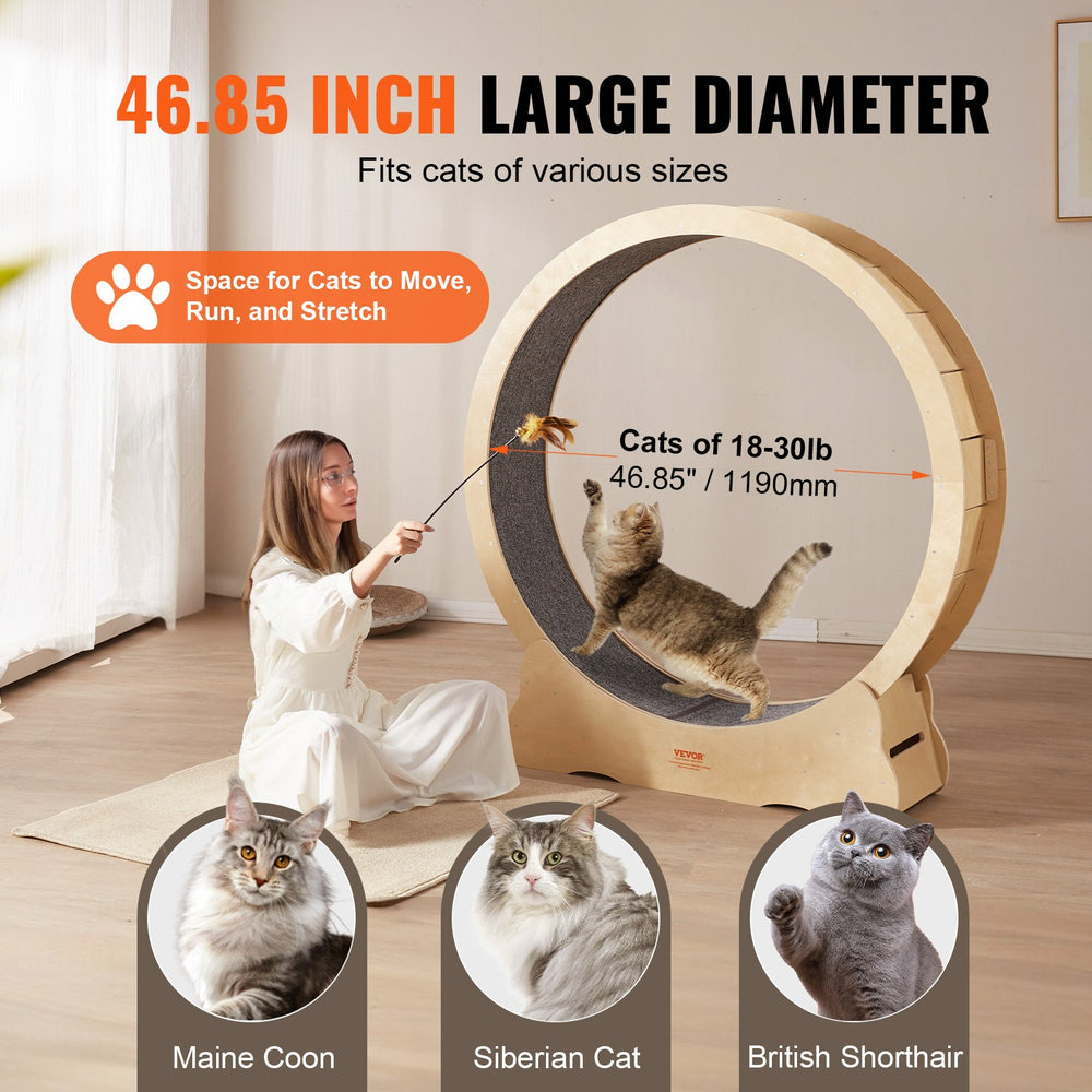 Vevor Cat Exercise Wheel 52" Indoor Treadmill with Detachable Carpet Suitable for Most Cats New