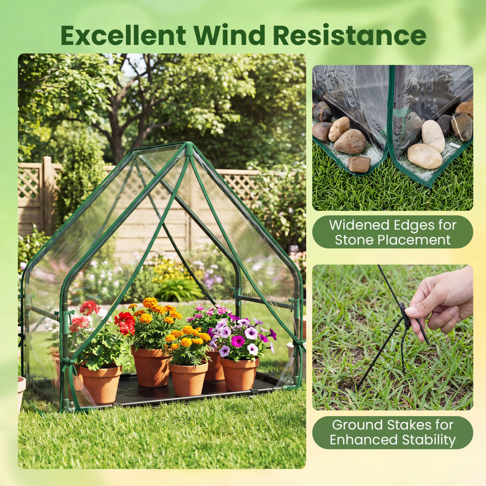 Mini greenhouse with a sturdy metal frame, waterproof bottom mat, and widened edges for wind resistance and stability.