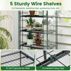 5-tier portable mini greenhouse with wire shelves, rustproof frame, and roll-up door for optimal plant growth on.