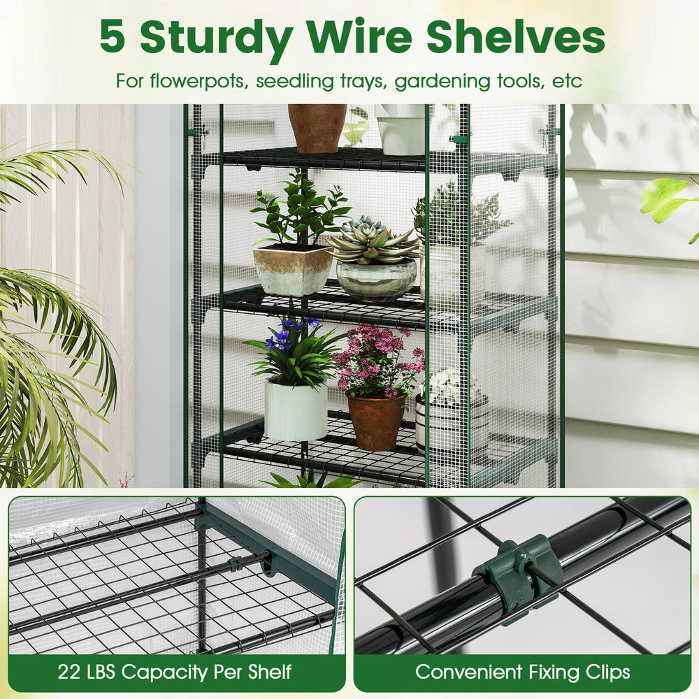 5-tier portable mini greenhouse with wire shelves, rustproof frame, and roll-up door for optimal plant growth on.