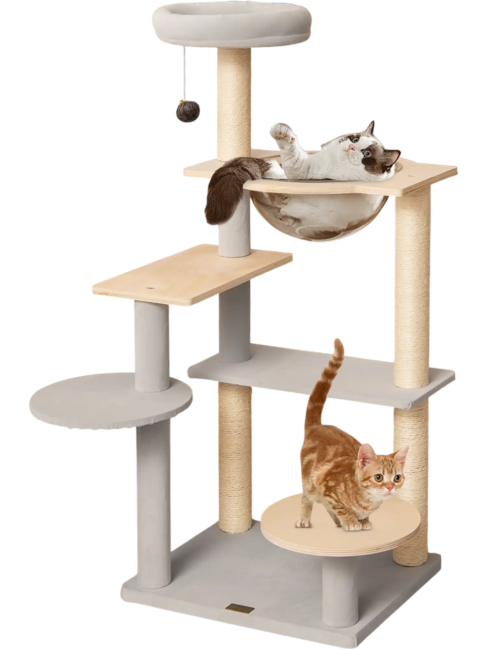 Multi-level 44-inch cat tree with removable padded perch, sisal scratching posts, and playful dangling toy for kittens.