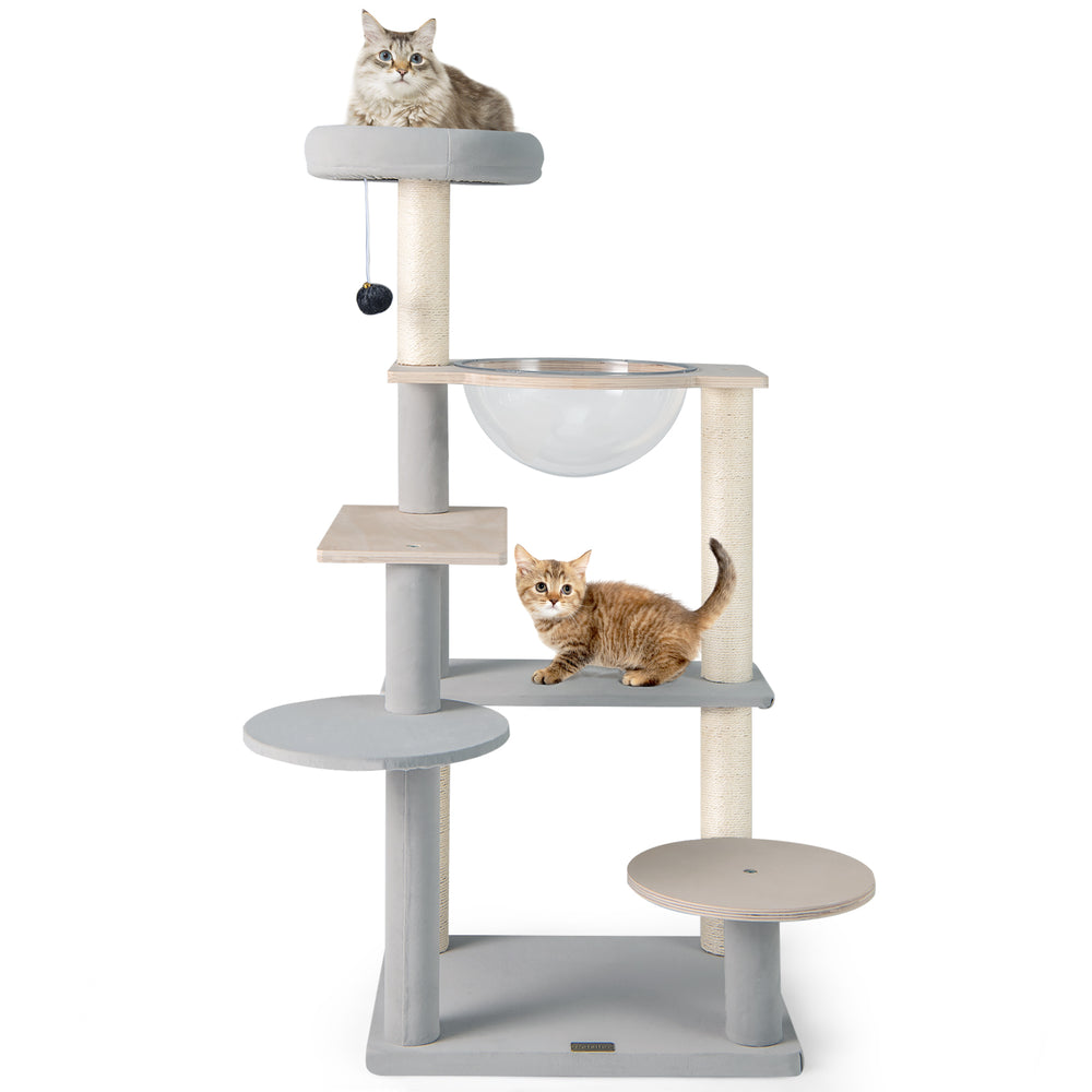 Multi-level 44-inch cat tree with removable padded perch, sisal scratching posts, and transparent space capsule for.