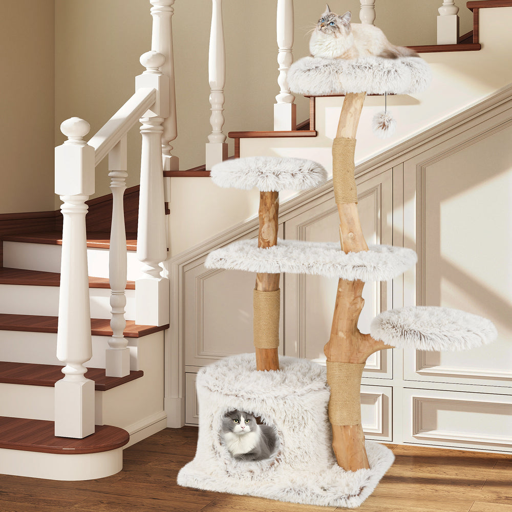 Modern 53-inch tall white cat tree with natural wood branches, plush platforms, and jute scratching posts for playful.
