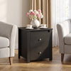 Nightstand with 2 Drawers & Storage for Bedroom Living Room Small Spaces-Black - Gallery View 1 of 8