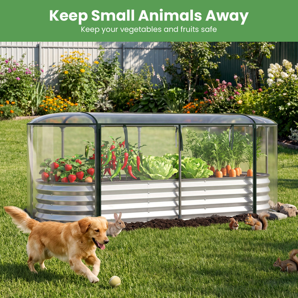 Outdoor color steel raised garden bed with greenhouse cover, featuring removable PVC for seasonal planting and animal.