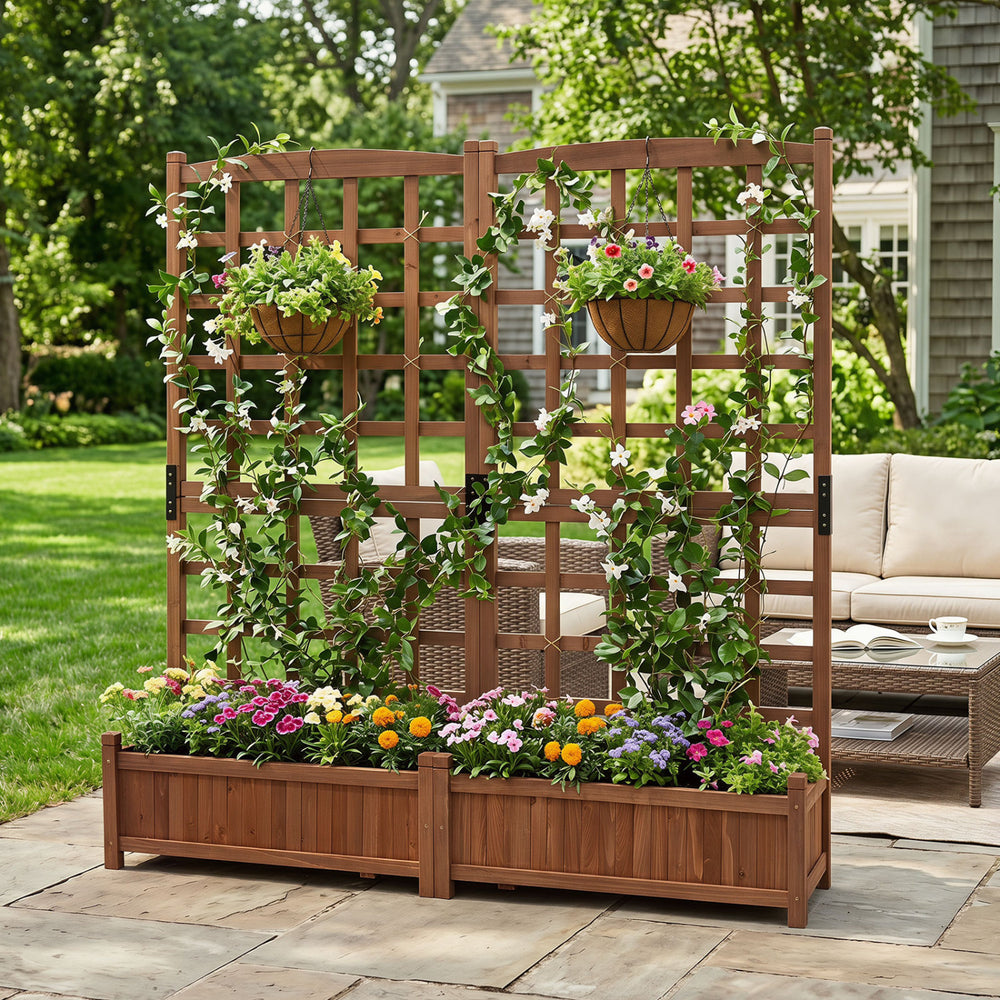 Outdoor dual wooden raised garden bed with trellis, featuring a decorative backdrop for vibrant climbing plants and flowers.