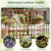 Dual wooden garden bed with trellis for climbing plants, featuring rustic brown fir wood and drainage holes for healthy growth.