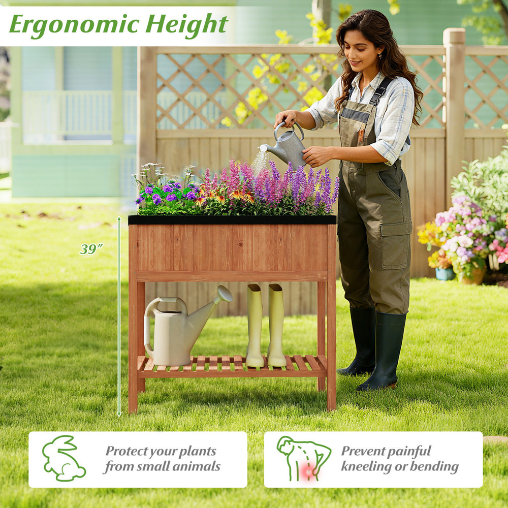 Ergonomic outdoor raised garden bed made of fir wood, featuring a bottom storage shelf and protective liner for easy.