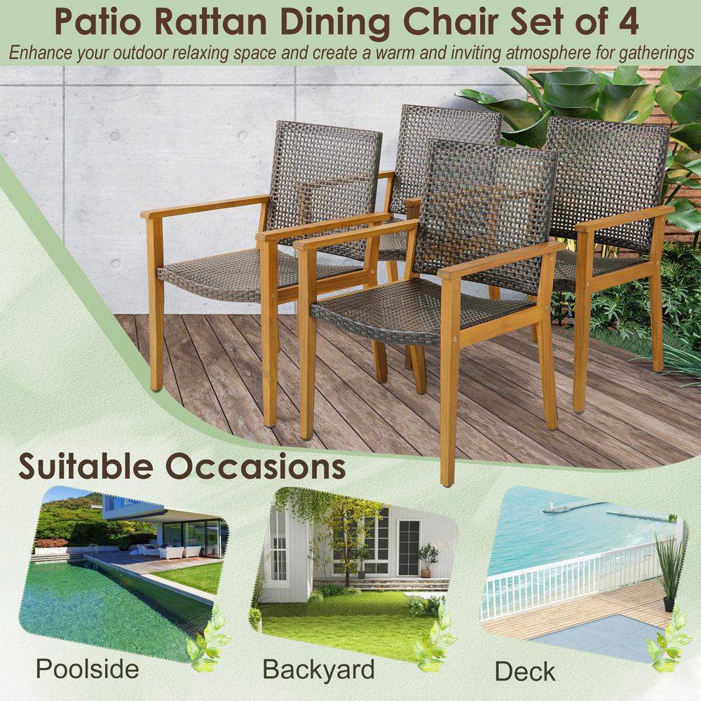 Set of 4 outdoor rattan dining chairs with acacia wood frame, perfect for poolside and backyard gatherings.
