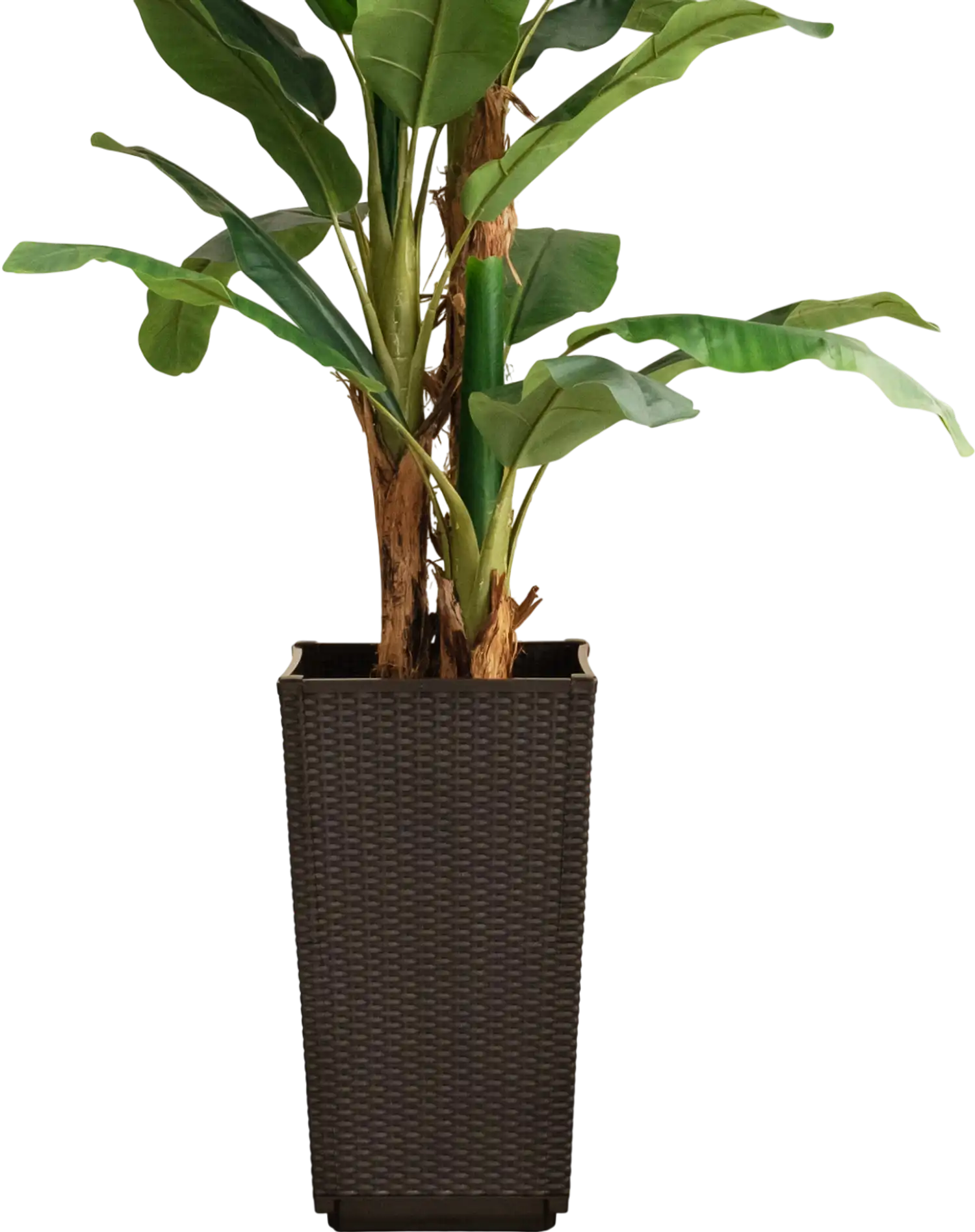 Costway Outdoor Wicker Flower Pot Set of 2 Drainage Hole Brown 36495278 New