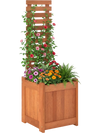 Outdoor Wooden Raised Garden Bed with Trellis