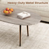 Oval coffee table with sturdy metal construction in gray, featuring rounded edges and adjustable foot pads for.