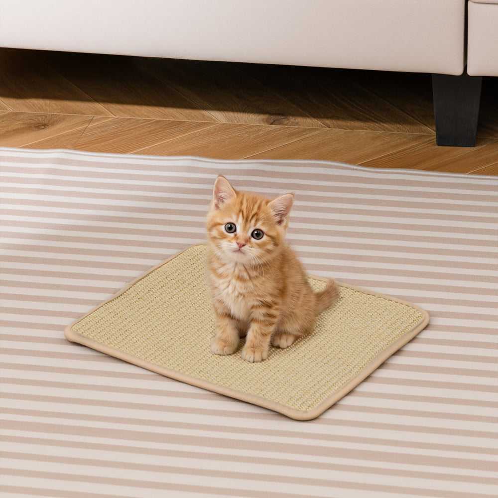 Cat sitting on a natural sisal scratcher mat, 16 x 12 inches, designed to protect furniture and satisfy scratching.