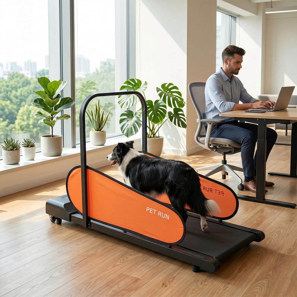 Pet treadmill for small to medium dogs with adjustable speed and LED display, ideal for indoor exercise.