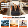 Pet treadmill for small and medium dogs with adjustable speed, LED display, and removable side panels for safe exercise.