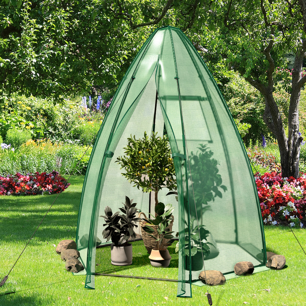 Portable mini greenhouse with all-weather PE cover, 5.5 x 5.5 x 6 feet, providing frost and sun protection for plants.