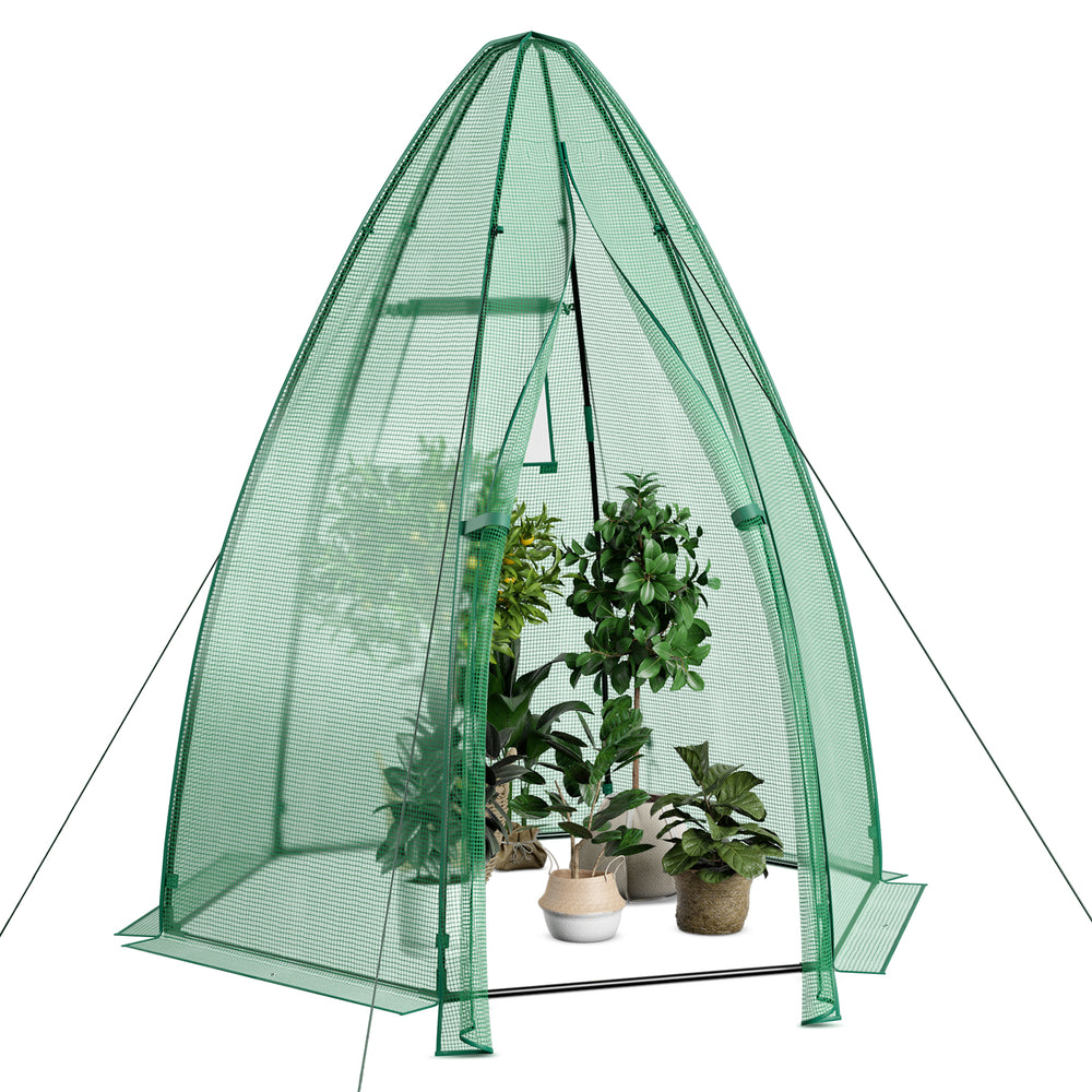 Portable mini greenhouse with all-weather PE cover, featuring a high-strength metal frame and roll-up mesh window for.