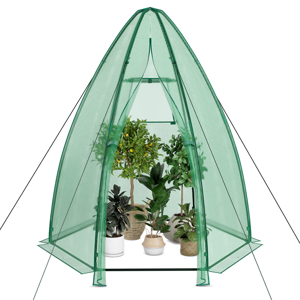 Portable mini greenhouse with all-weather PE cover, featuring a sturdy frame and roll-up mesh window for ventilation.