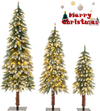 Pre-Lit Christmas Tree Set of 3 - Snowy and Slim