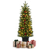 Pre-lit potted pencil Christmas tree with red berries and pine cones, perfect for festive holiday decor.