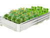 Metal galvanized raised garden bed, 6 x 3 ft, filled with vegetables and flowers, ideal for outdoor gardening.